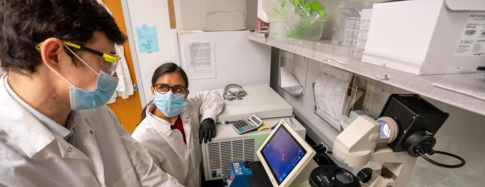 Chemical Engineering UC Davis Engineering