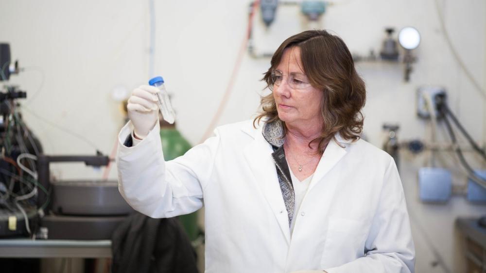 Professor Karen McDonald with a sample in her lab. Photo: UC Davis uc davis chemical engineering trish grant karen mcdonald