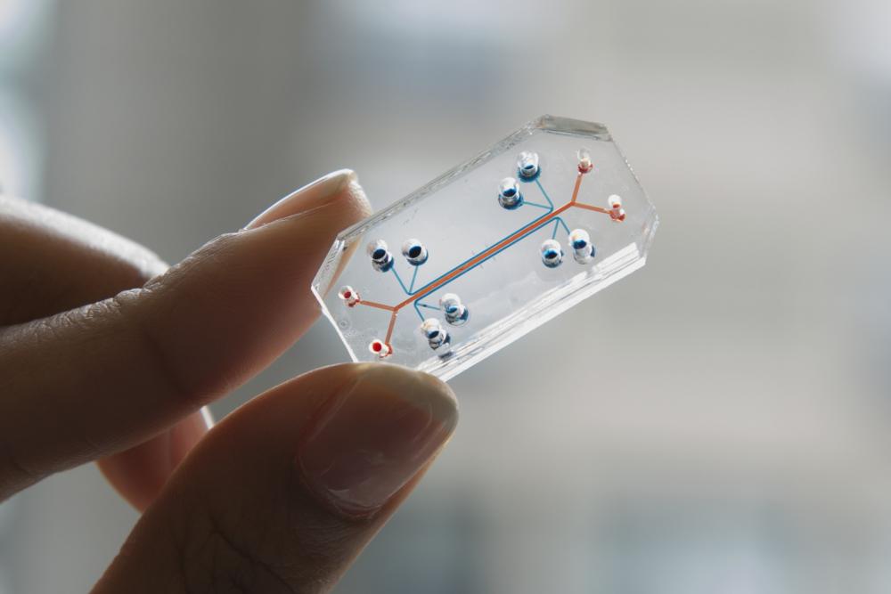 jiandi wan microfluidic devices brain on a chip uc davis chemical engineering