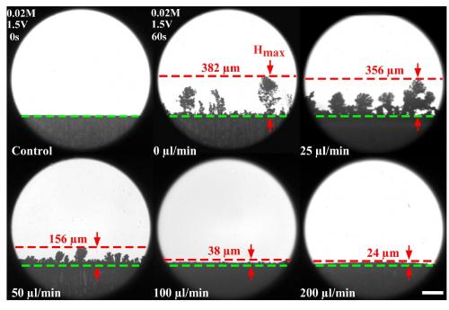 uc davis chemical engineering microfluidics battery dendrite growth jiandi wan