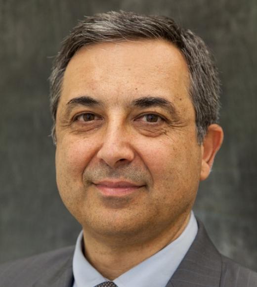Ahmet Palazoglu